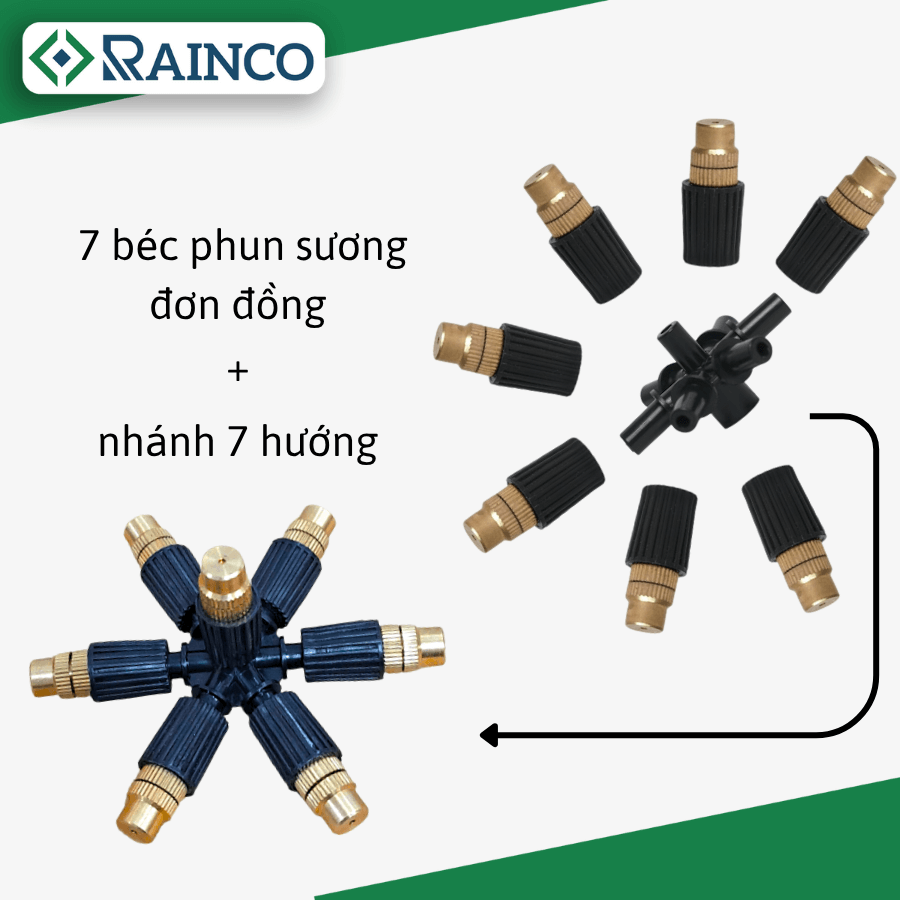 Béc 7 hướng đồng